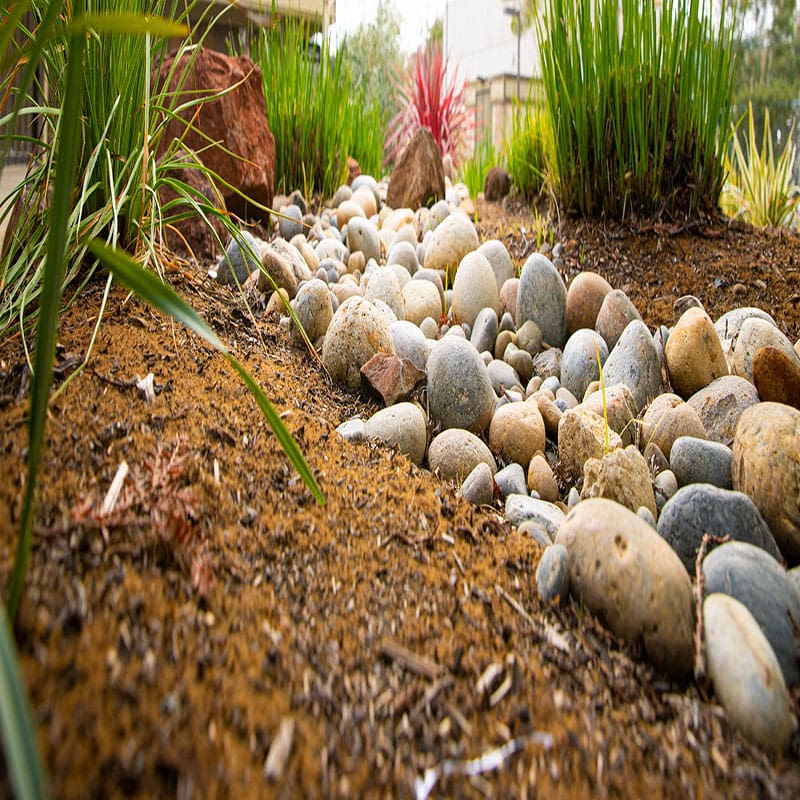 Exterior garden of the offices of Ginny Estupinian PhD Los Gatos Psychologist