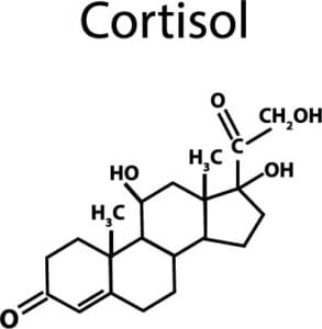 The chemical Makeup of Cortisol