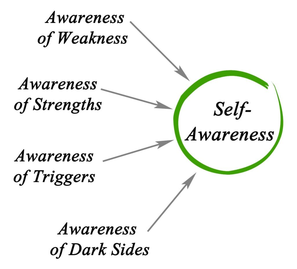 A graphical representation of the areas of self awarness as taught by Ginny Estupinian PhD Los GAtos Psychologist