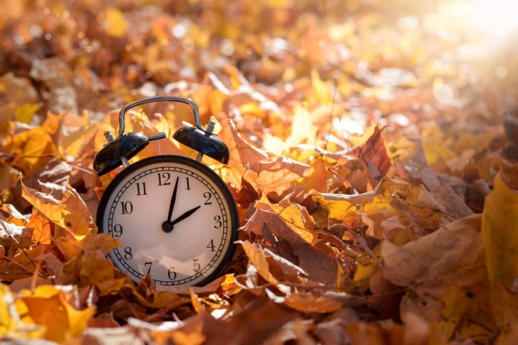 The Hidden Cost of Daylight Saving Time